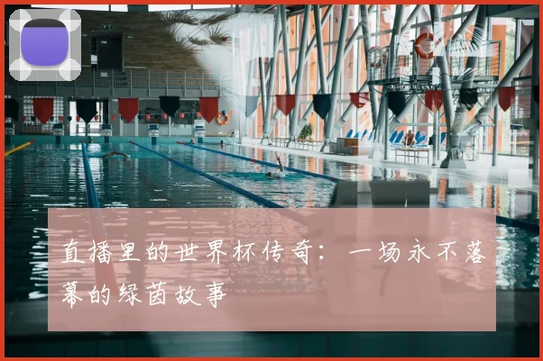 直播里的世界杯传奇：一场永不落幕的绿茵故事