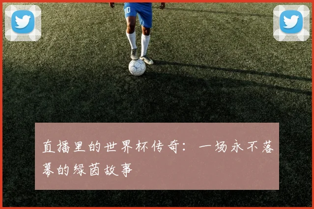 直播里的世界杯传奇：一场永不落幕的绿茵故事