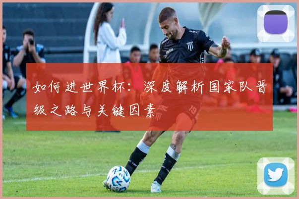 如何进世界杯：深度解析国家队晋级之路与关键因素