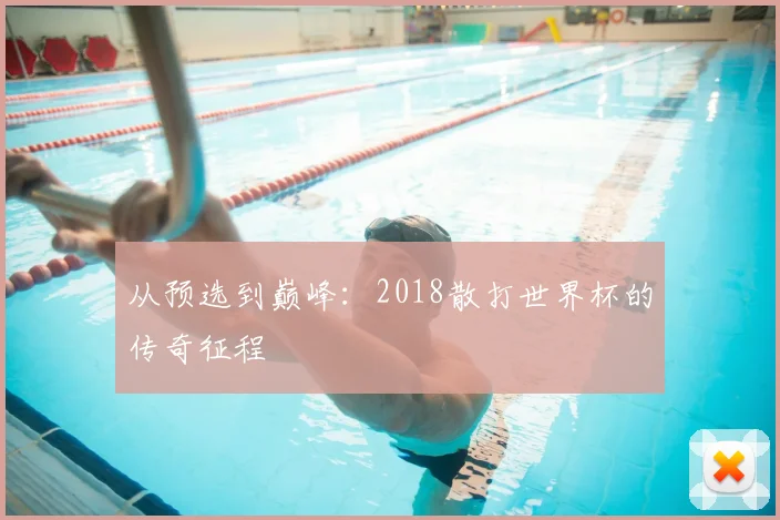 从预选到巅峰：2018散打世界杯的传奇征程