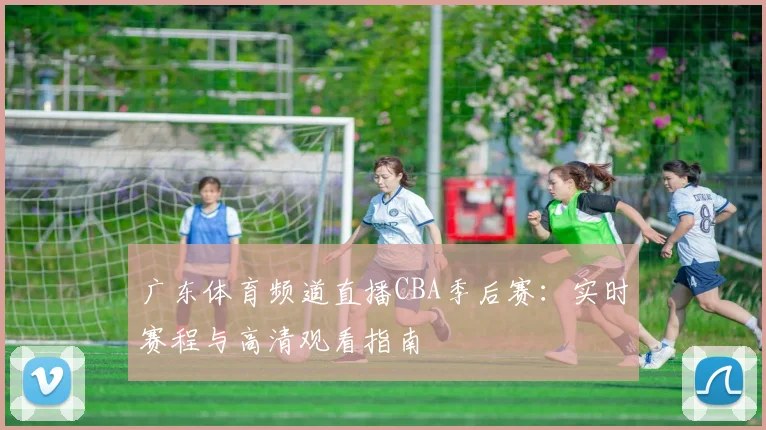 广东体育频道直播CBA季后赛：实时赛程与高清观看指南